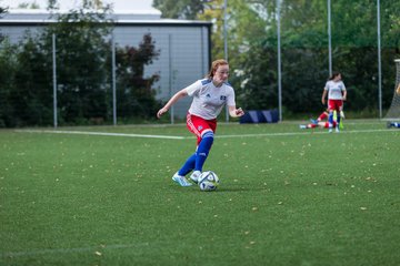 Bild 118 - C-Juniorinnen HSV - Walddoerfer : Ergebnis: 9:1